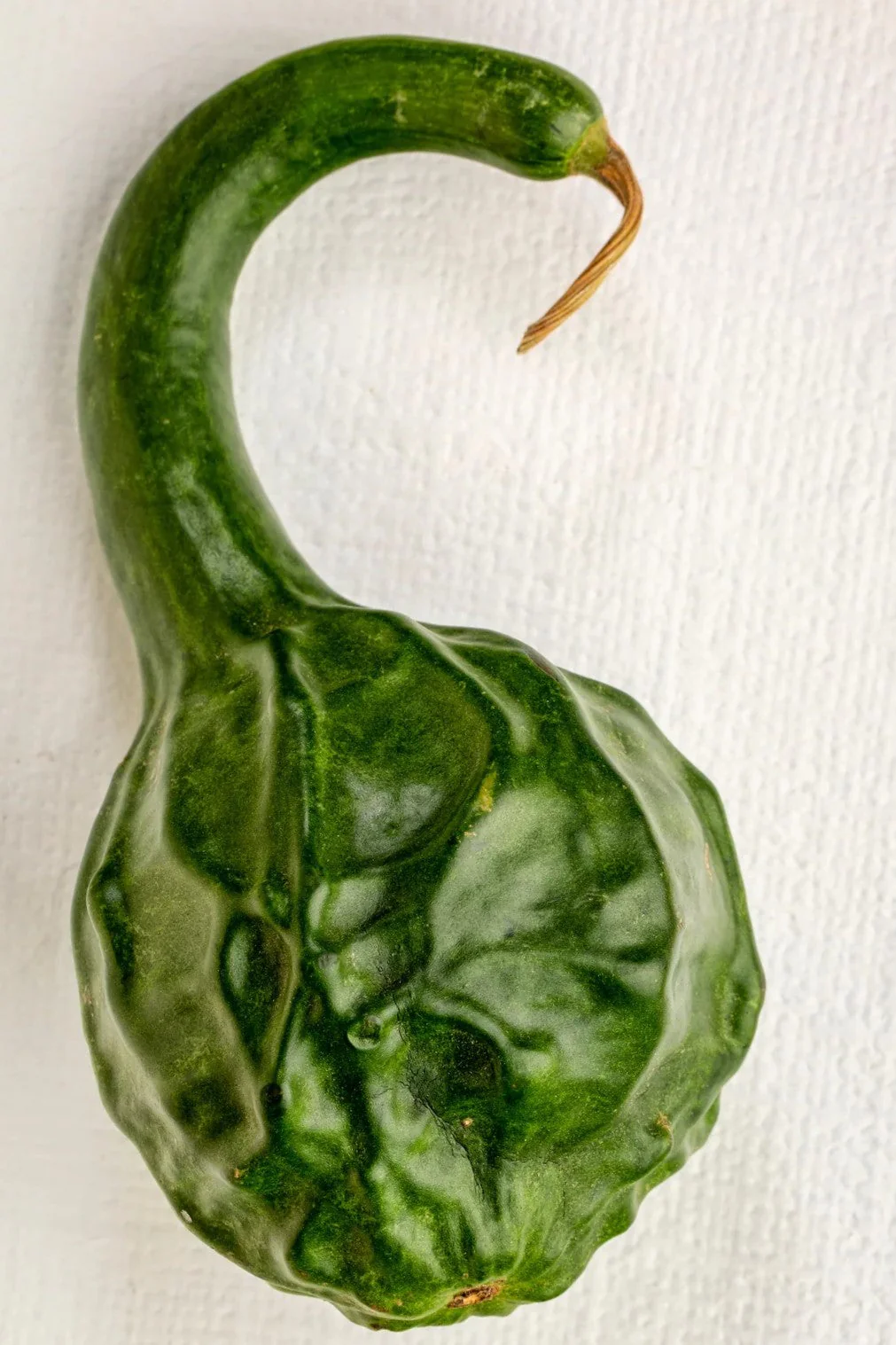 Caveman's Club Gourd (Maranka) - Image 8
