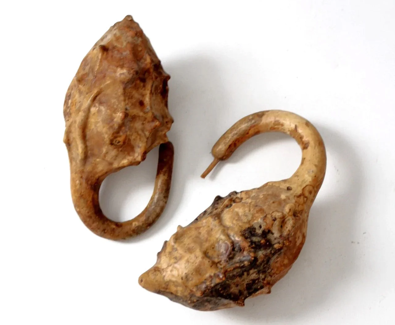 Caveman's Club Gourd (Maranka) - Image 9
