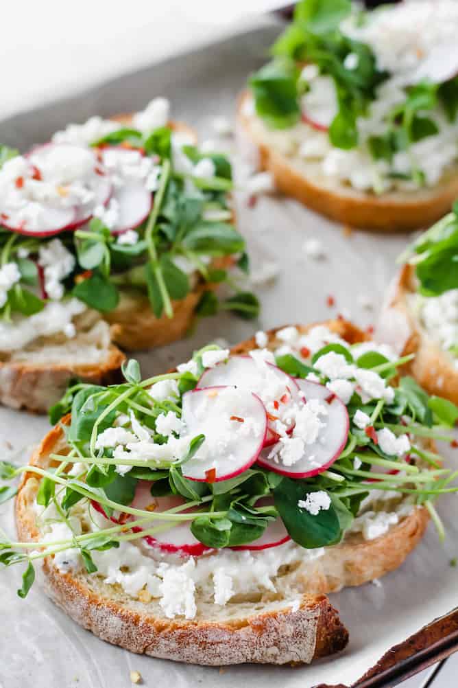 Champion Radish - Image 6