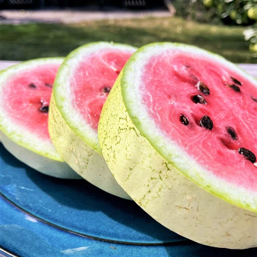 Charleston Grey Watermelon - Image 4