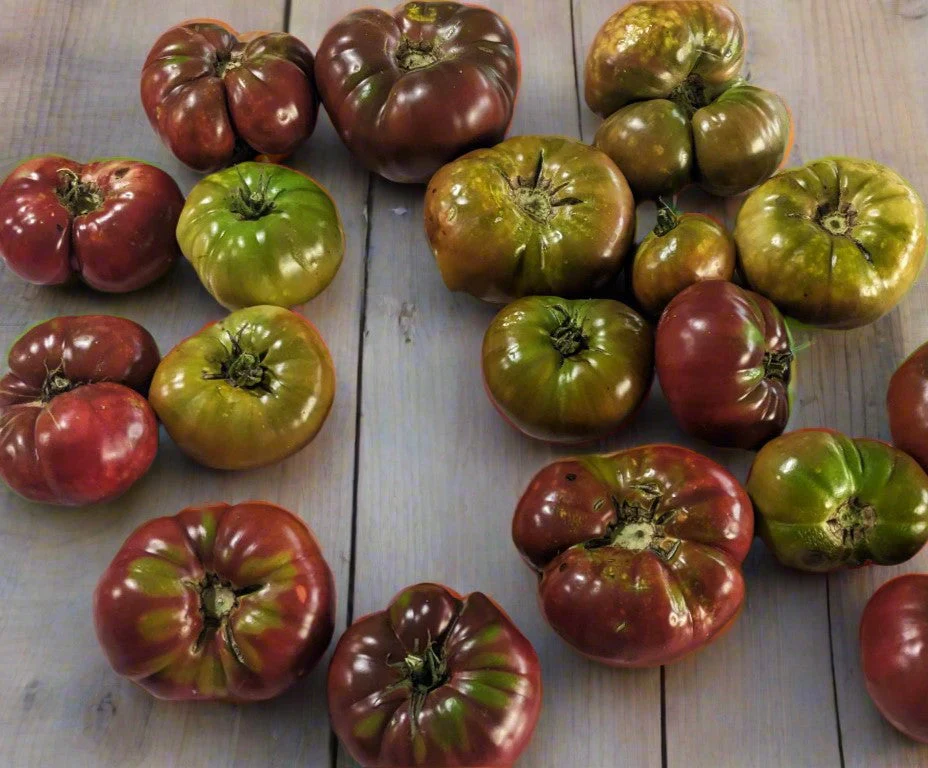 Cherokee Purple Tomato - Image 6