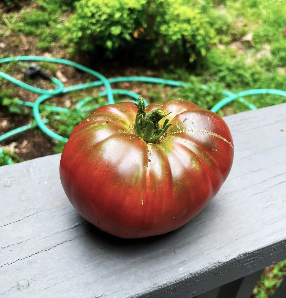 Cherokee Purple Tomato - Image 7