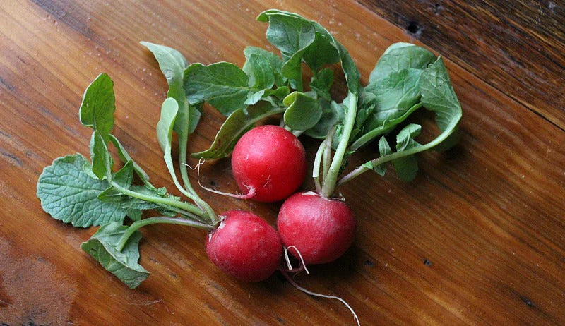 Cherry Belle Radish - Image 3