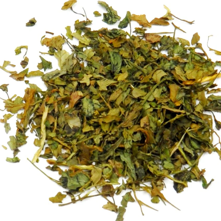Chervil - Image 5