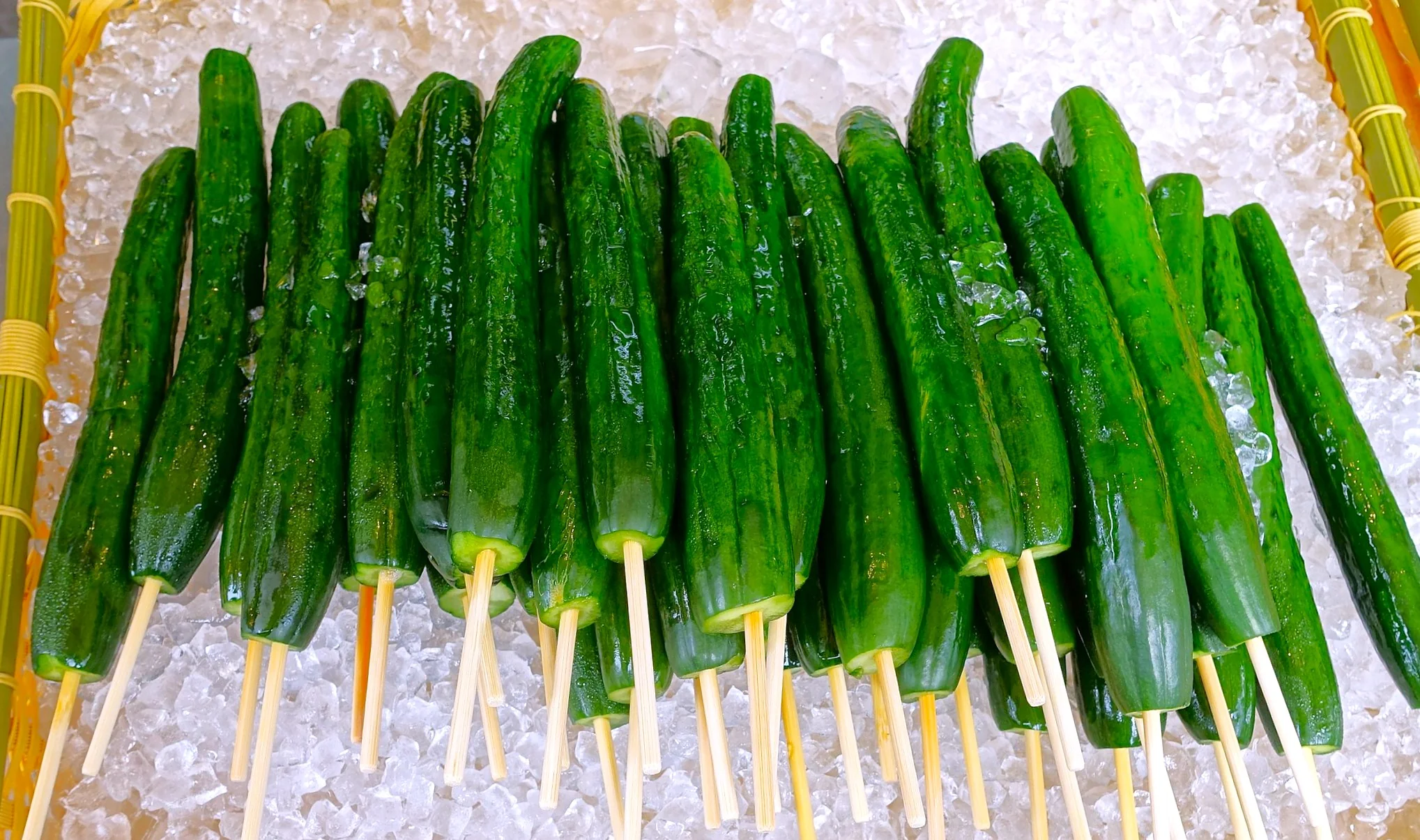 China Jade Burpless Cucumber - Image 7