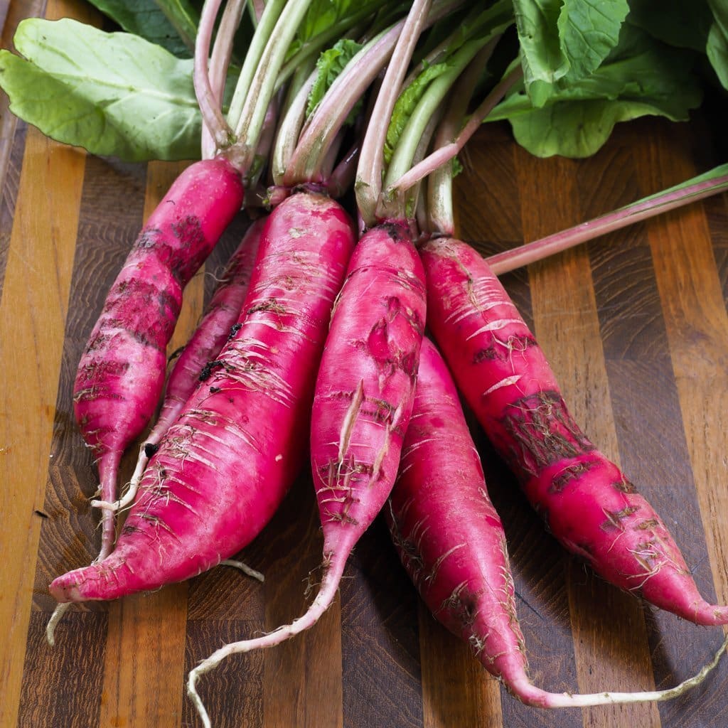 China Rose Radish - Image 4