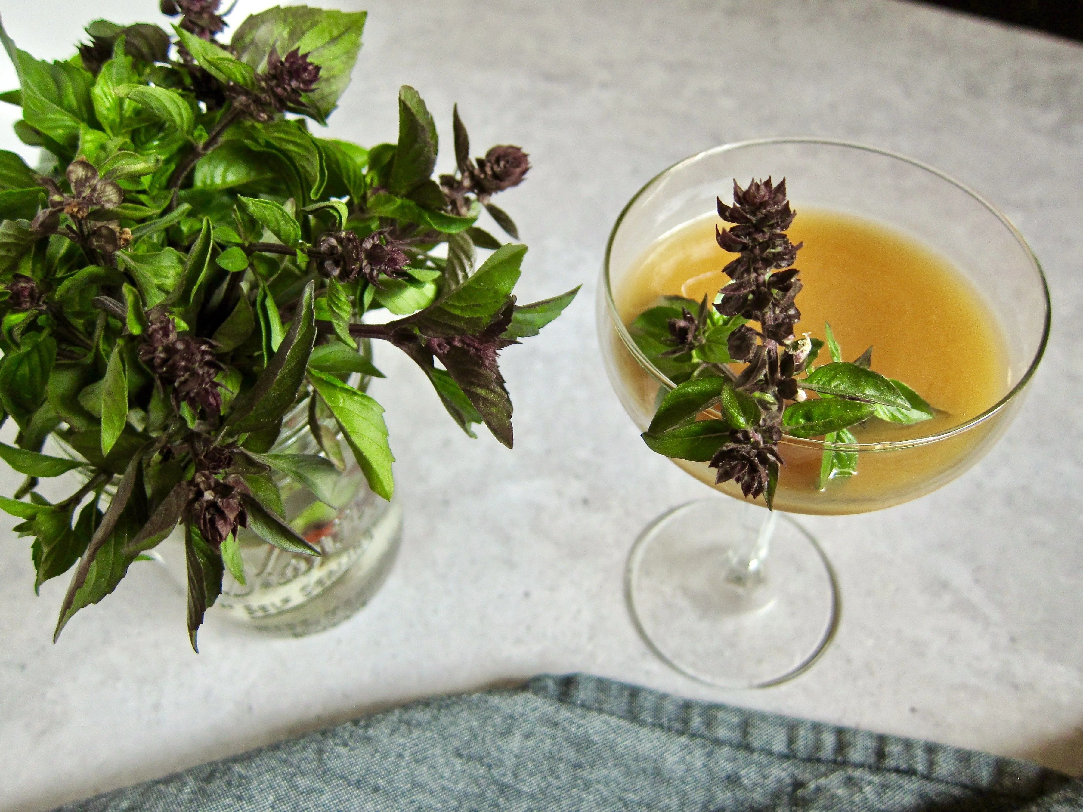 Cinnamon Basil - Image 5