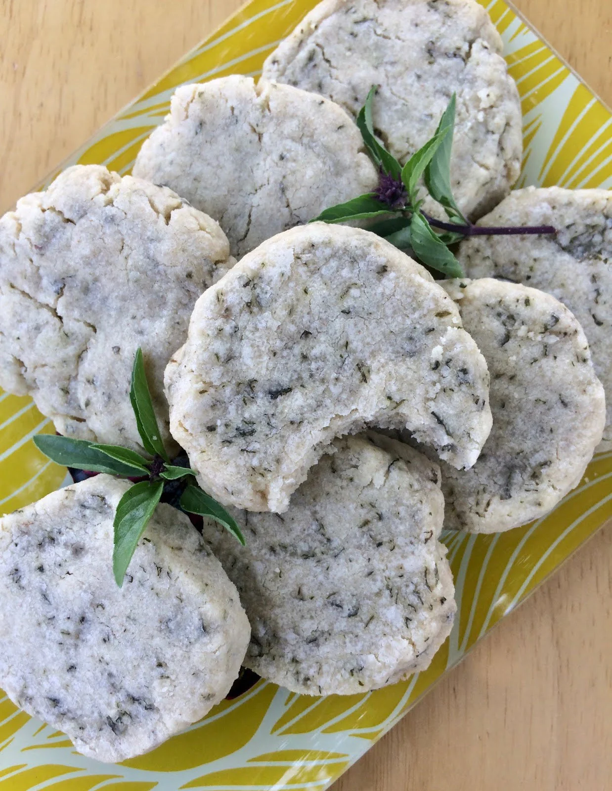 Cinnamon Basil - Image 9