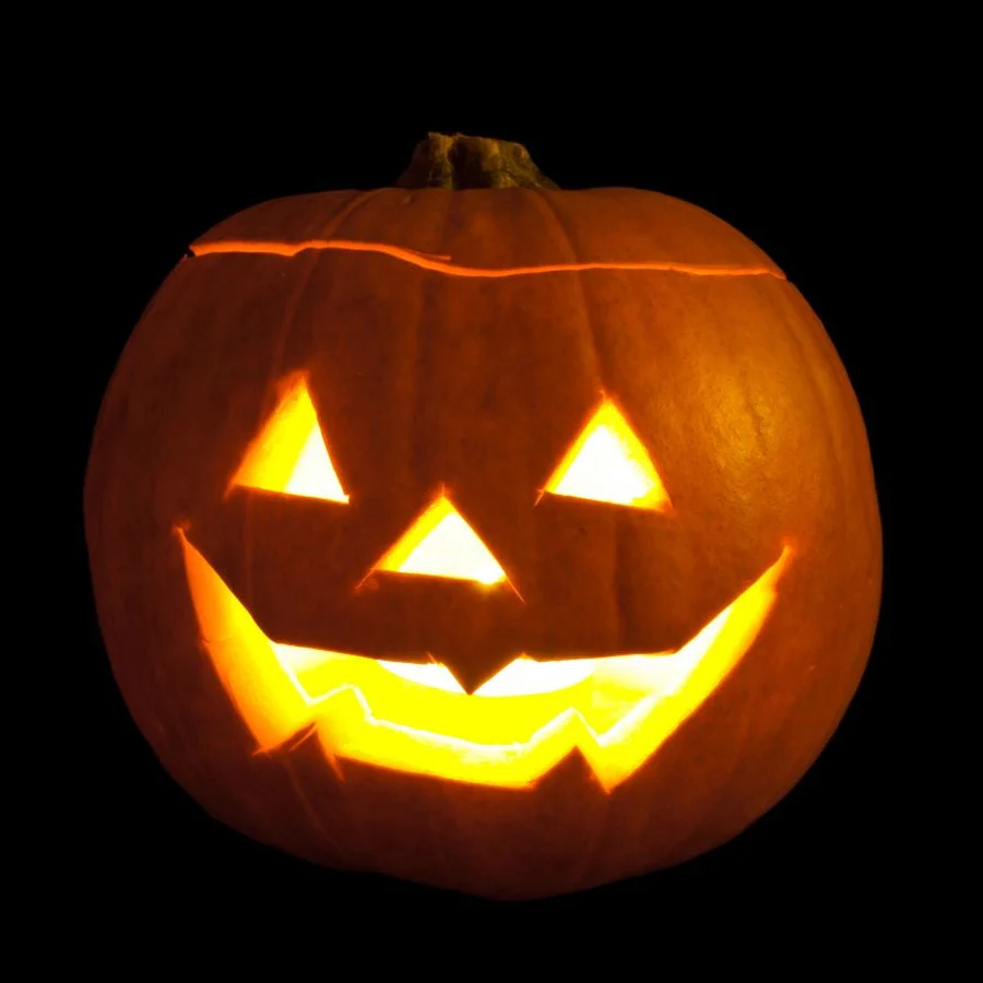 Connecticut Field Pumpkin - Image 5
