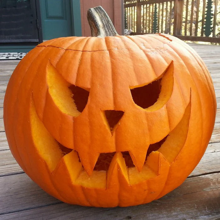 Connecticut Field Pumpkin - Image 8