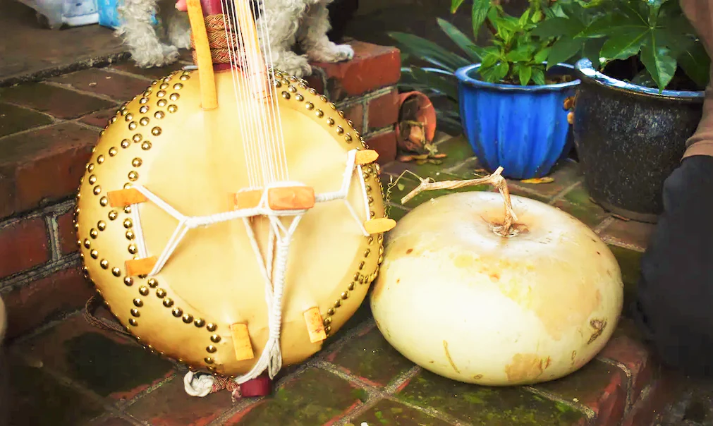 Corsican Gourd - Image 8