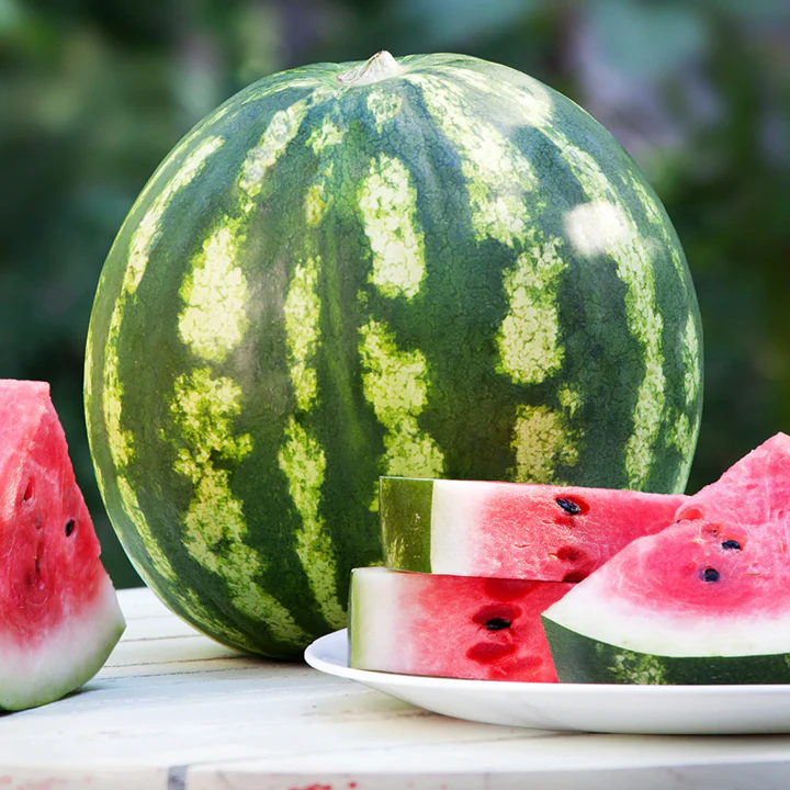 Crimson Sweet Watermelon - Image 4