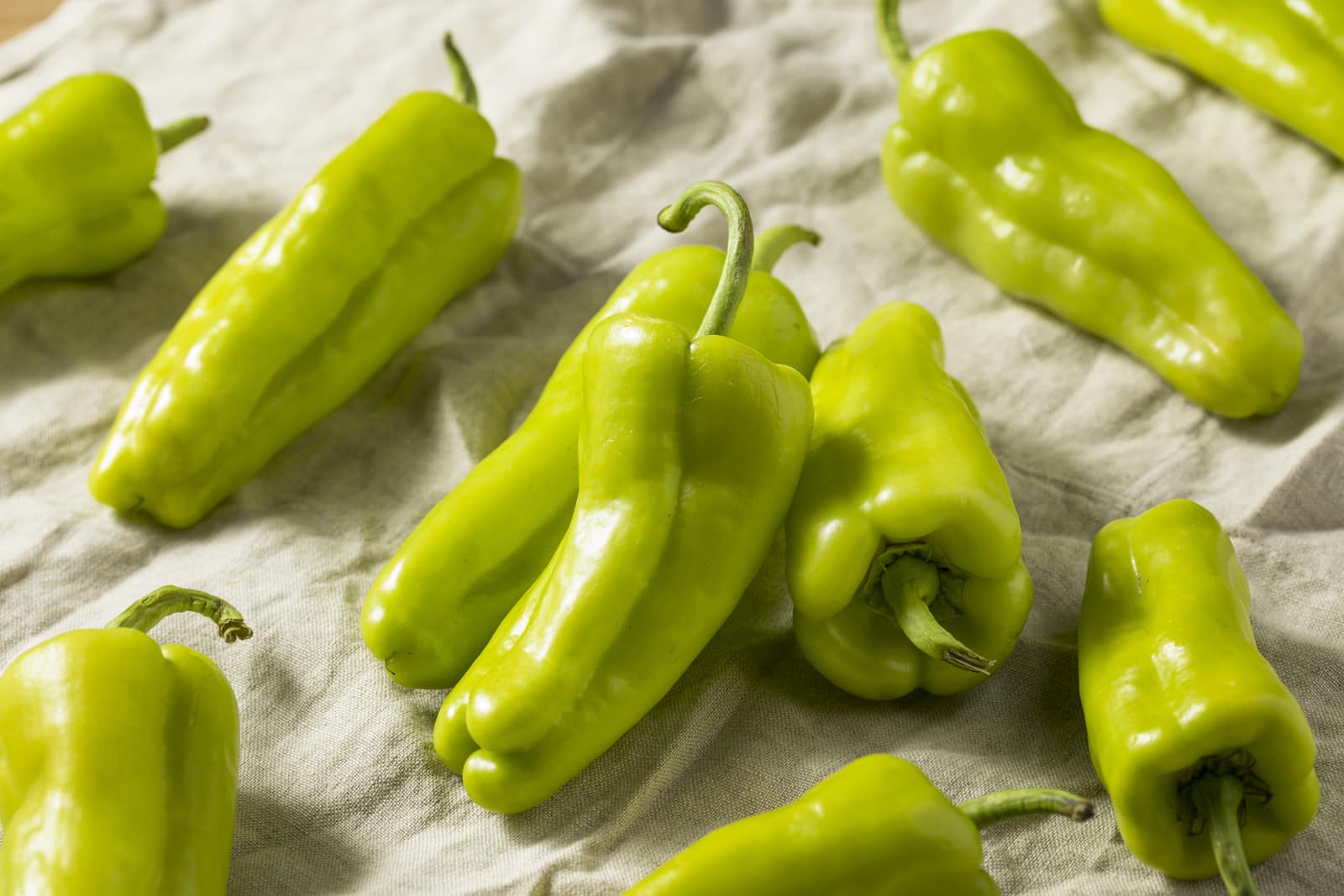 Cubanelle Pepper - Image 3
