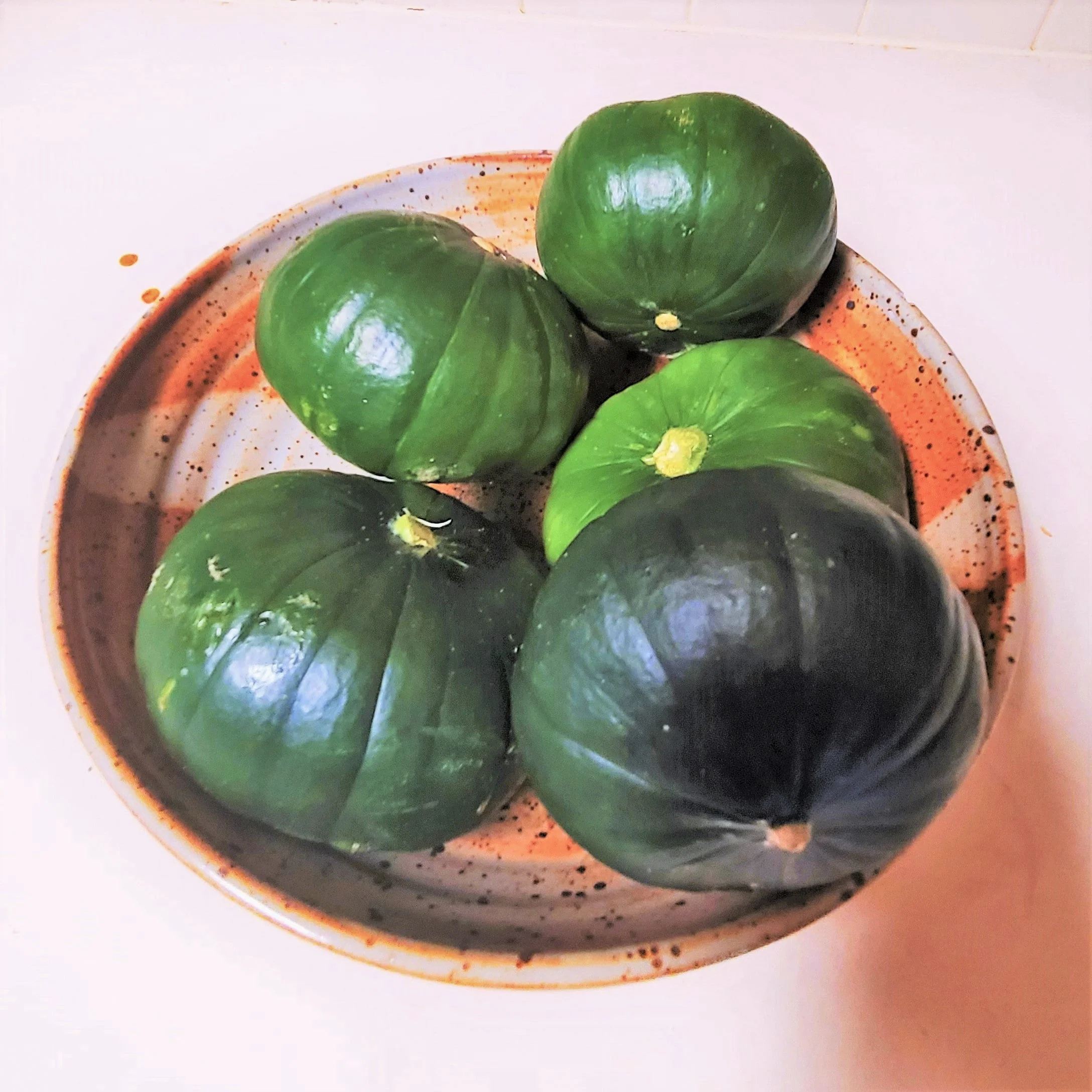 Cupcake Squash - Image 5