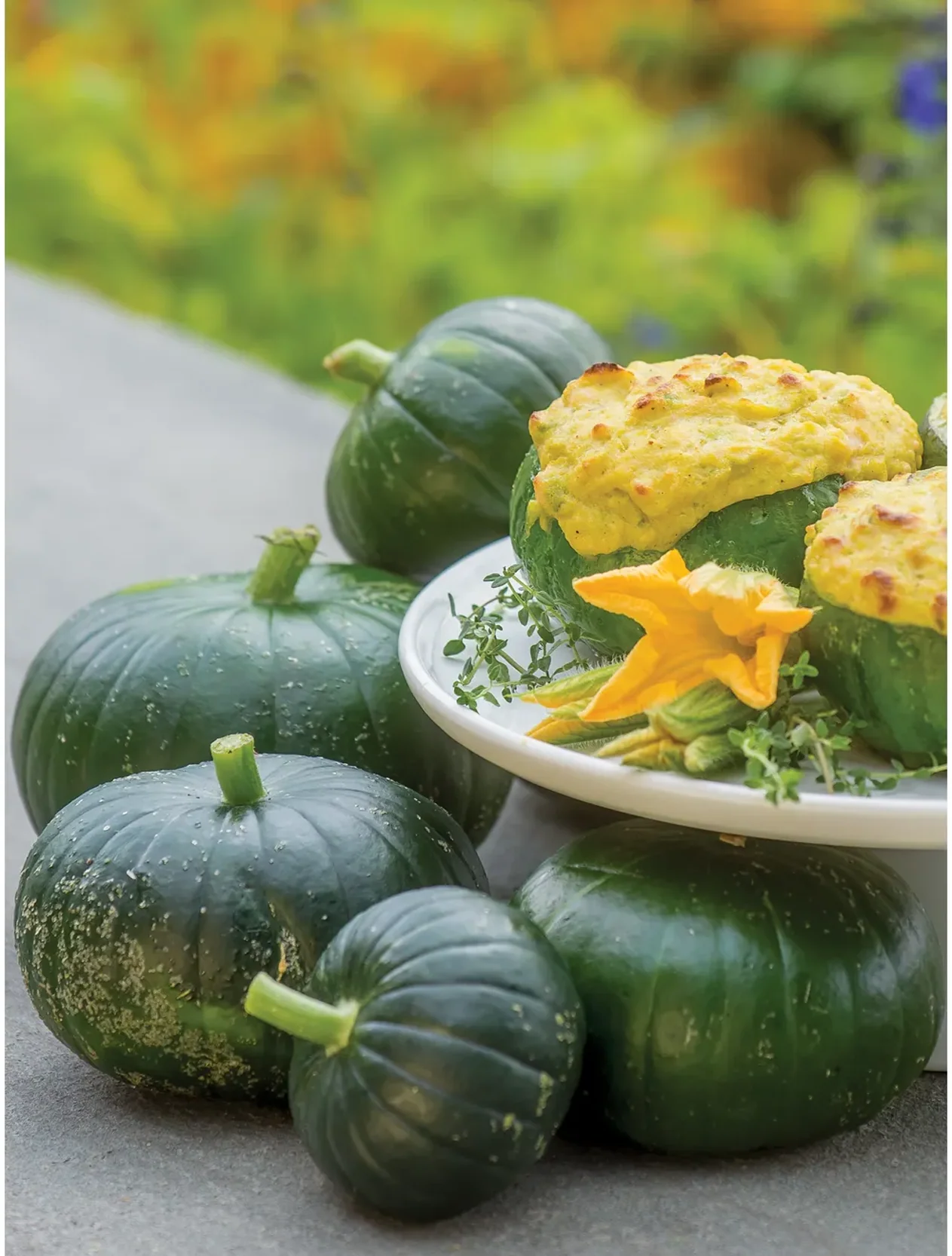 Cupcake Squash - Image 6