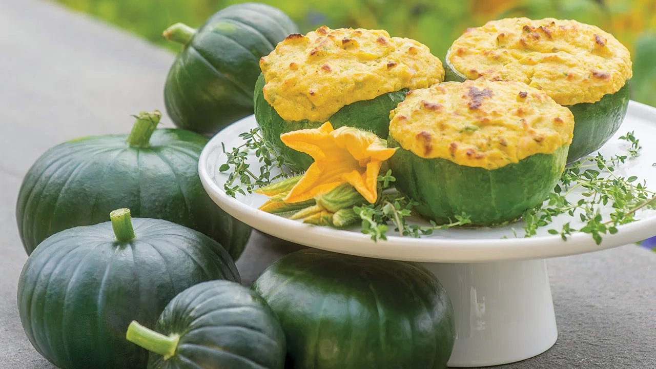 Cupcake Squash - Image 7