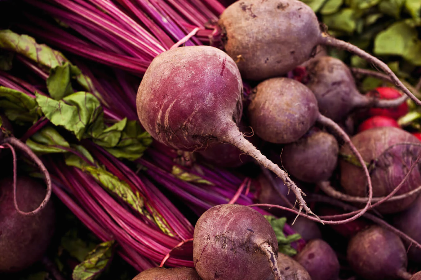 Detroit Dark Red Beet - Image 3
