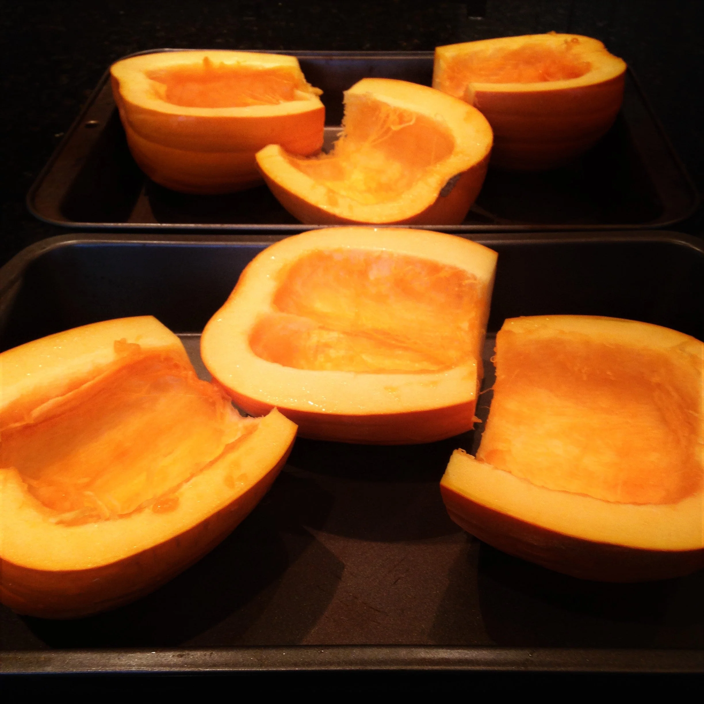 Dickinson Pumpkin (Kentucky Field) - Image 6