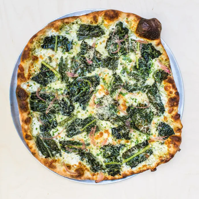 Tuscan Lacinato Kale (Dinosaur) - Image 11