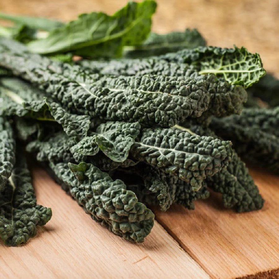 Tuscan Lacinato Kale (Dinosaur) - Image 3