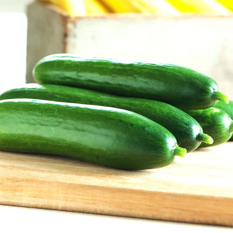 Diva Seedless Persian Cucumber - Image 9