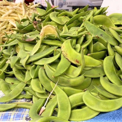Dixie Speckled Butterpea Lima Bean - Image 3