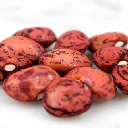 Dixie Speckled Butterpea Lima Bean - Image 4