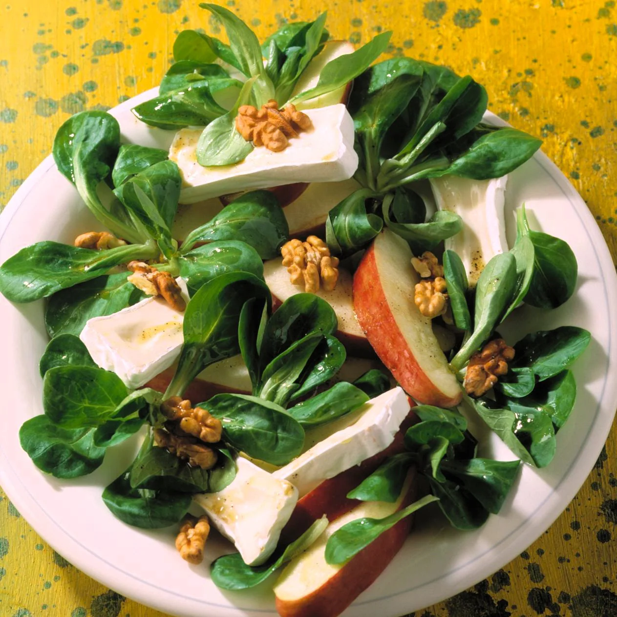 Dutch Corn Salad (Mache or Lamb's Lettuce) - Image 8