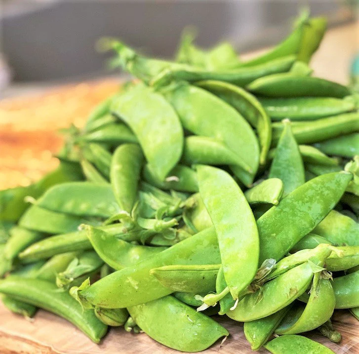 Dwarf Grey Sugar Pod Snow Pea - Image 6