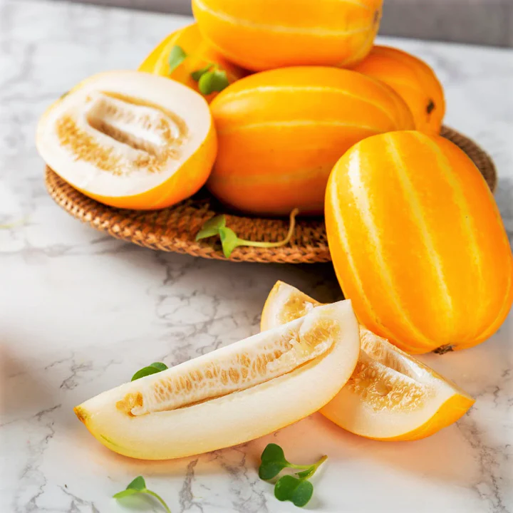 Early Silver Line Korean Melon - Image 3