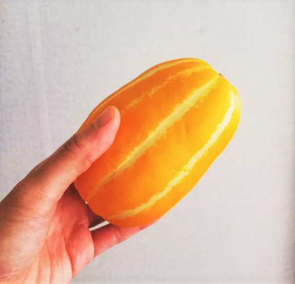 Early Silver Line Korean Melon - Image 4