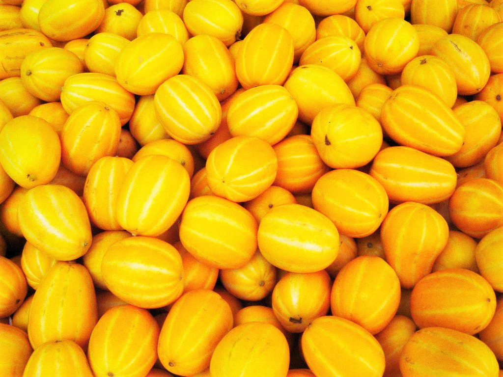 Early Silver Line Korean Melon - Image 9