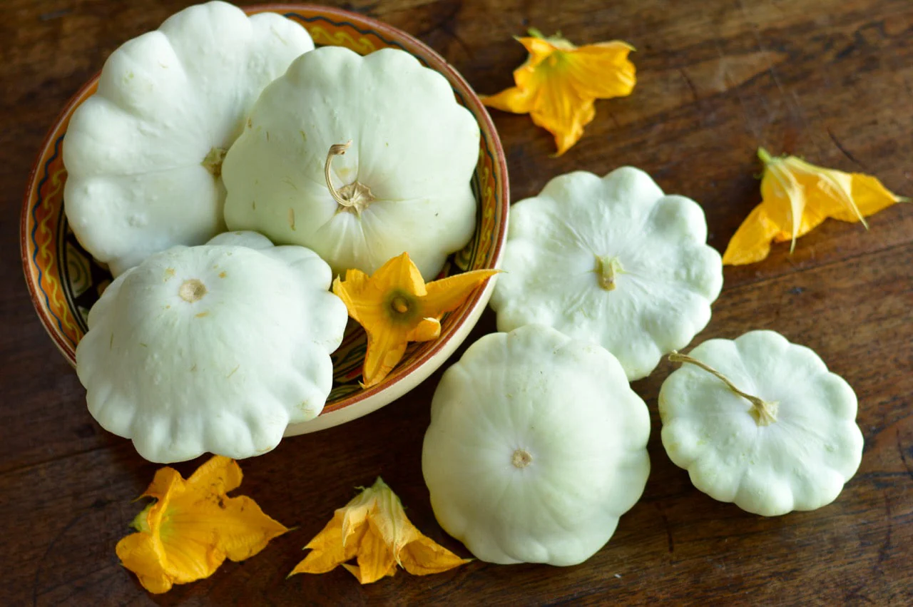Early White Patty Pan (Bush Scallop Squash) - Image 4