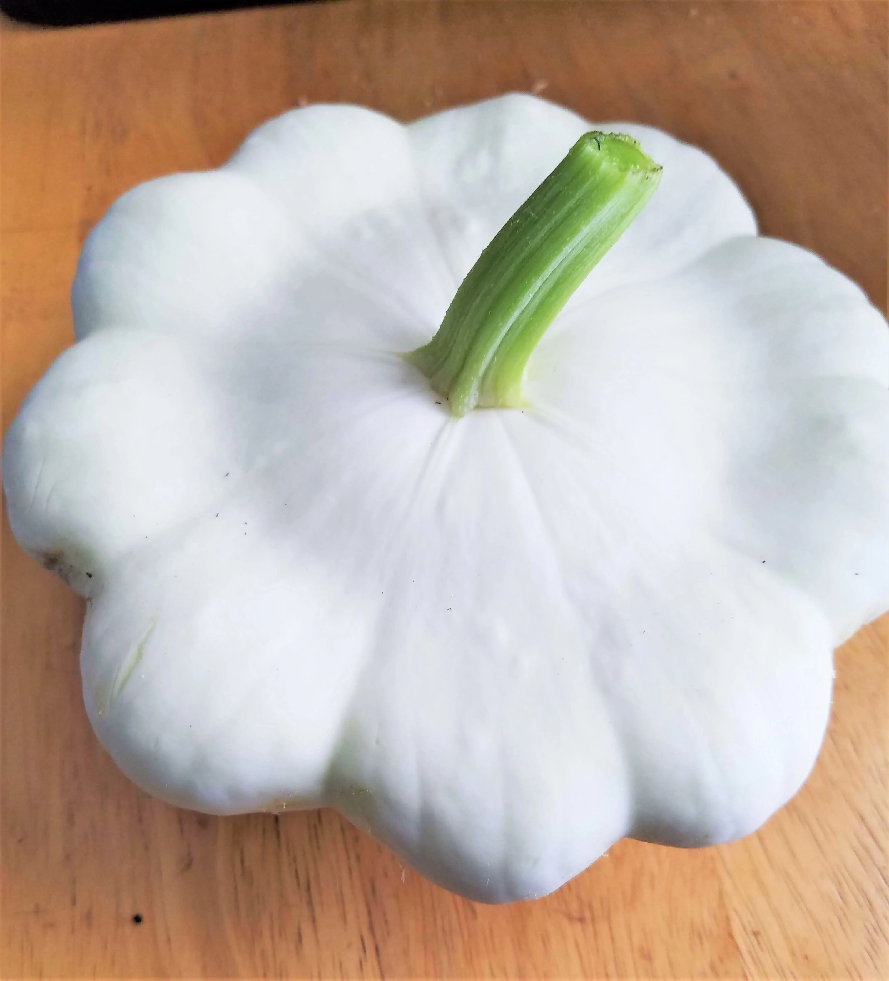 Early White Patty Pan (Bush Scallop Squash) - Image 5