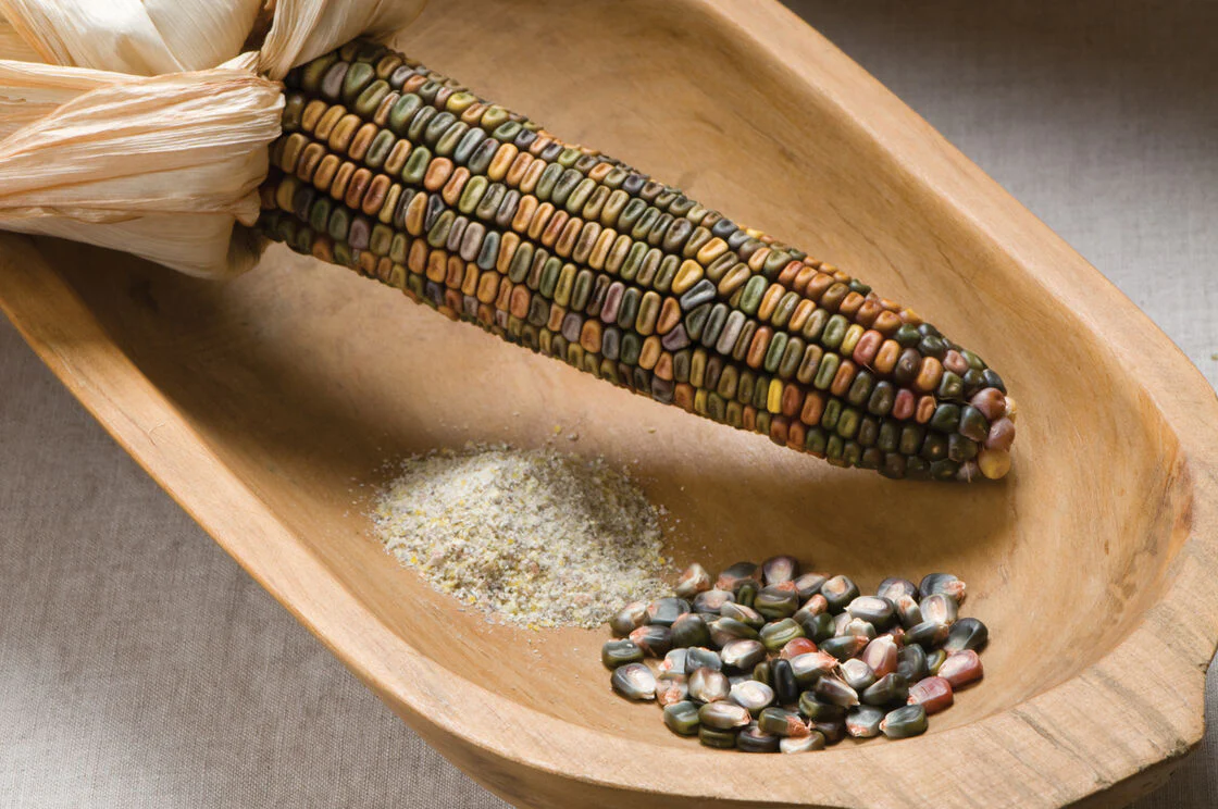 Earth Tones Dent Corn Ornamental - Image 6