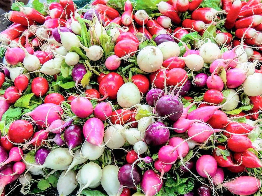 Easter Egg Mix Radish - Image 11