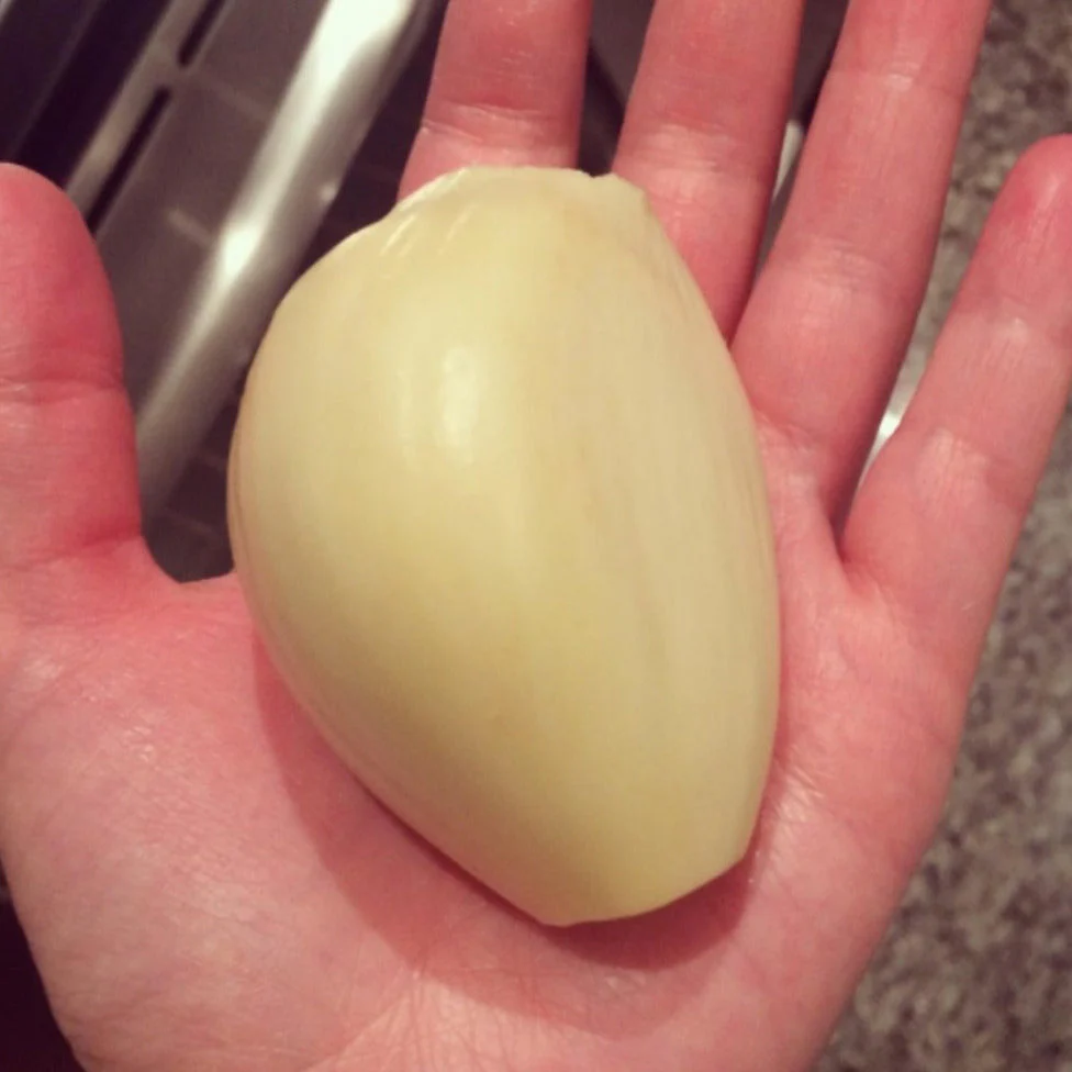 PRE-ORDER NOW! SHIPS SEPTEMBER 2026 - Elephant Garlic Cloves - Image 5