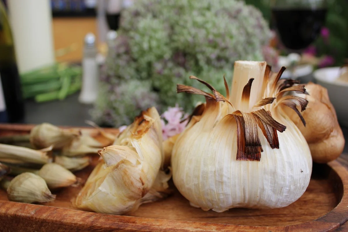 PRE-ORDER NOW! SHIPS SEPTEMBER 2026 - Elephant Garlic Cloves - Image 6