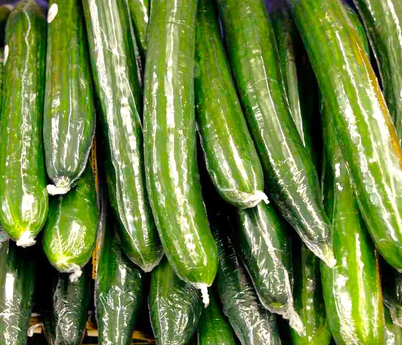 English Telegraph Improved Burpless Cucumber (English Cucumber) - Image 6