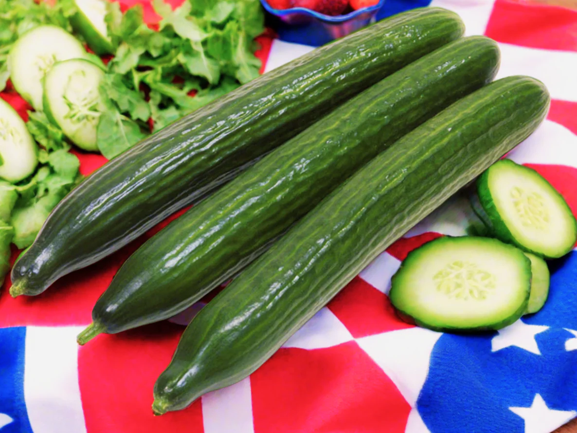 English Telegraph Improved Burpless Cucumber (English Cucumber) - Image 7