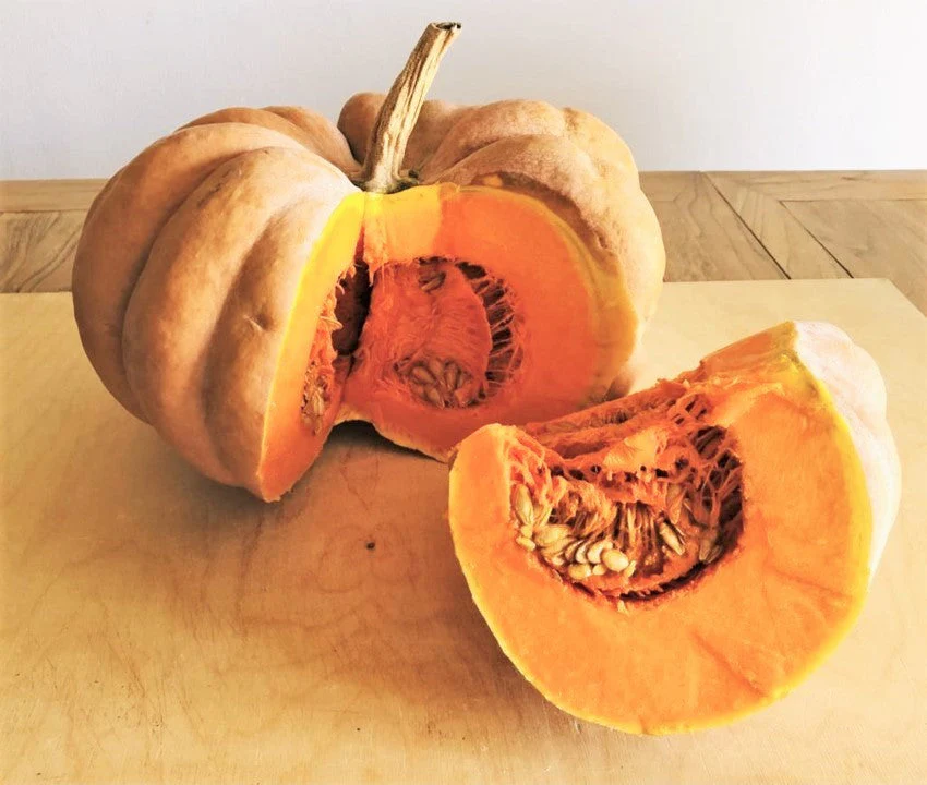 Fairytale Pumpkin (Musquee de Provence) - Image 3
