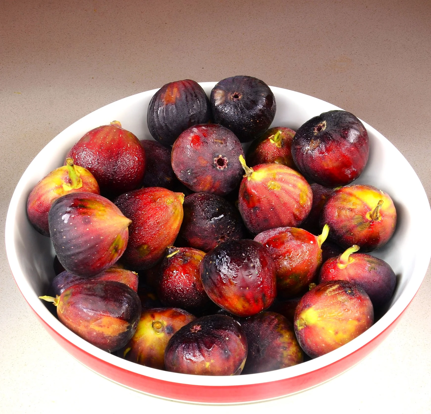Fig Tree - Image 5
