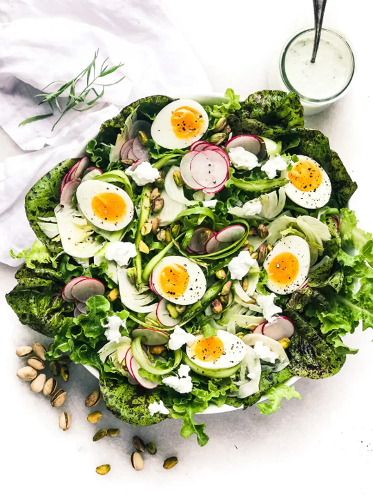 Freckles Romaine Lettuce - Image 8