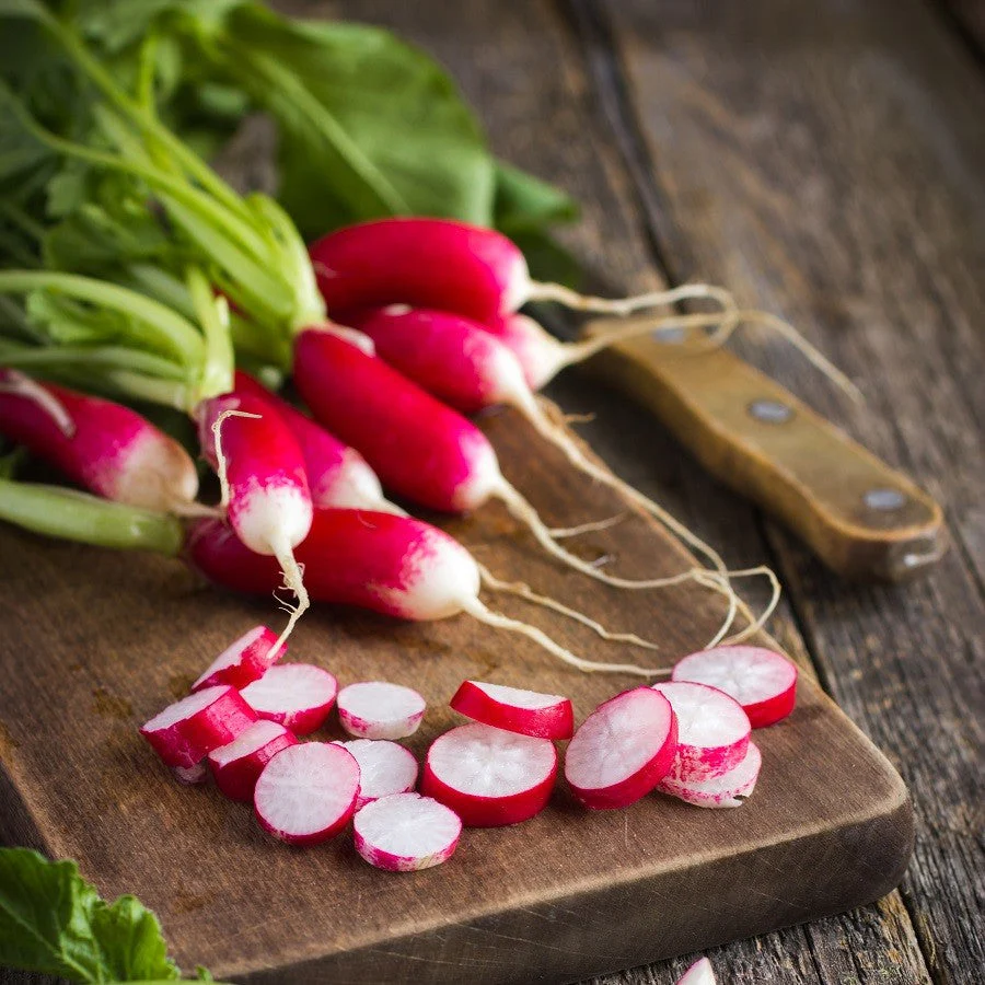 French Breakfast Radish - Image 3
