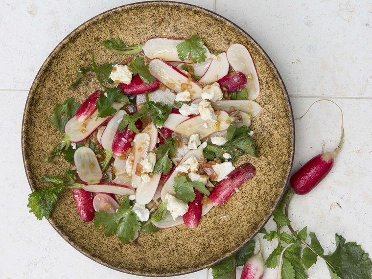 French Breakfast Radish - Image 7