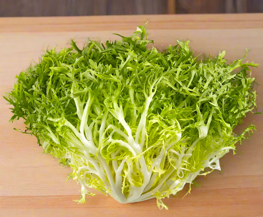 Frisee Endive - Image 4