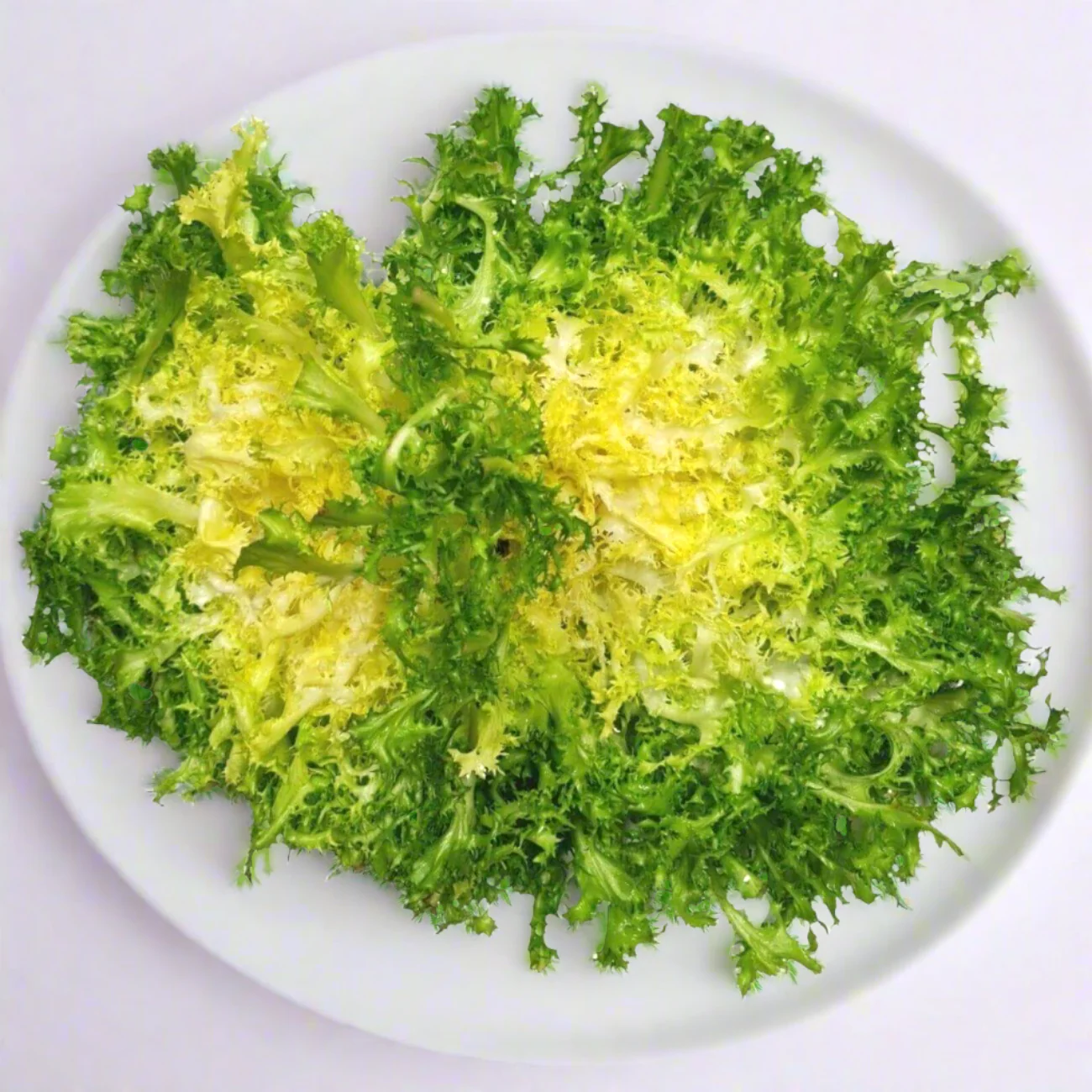 Frisee Endive - Image 5