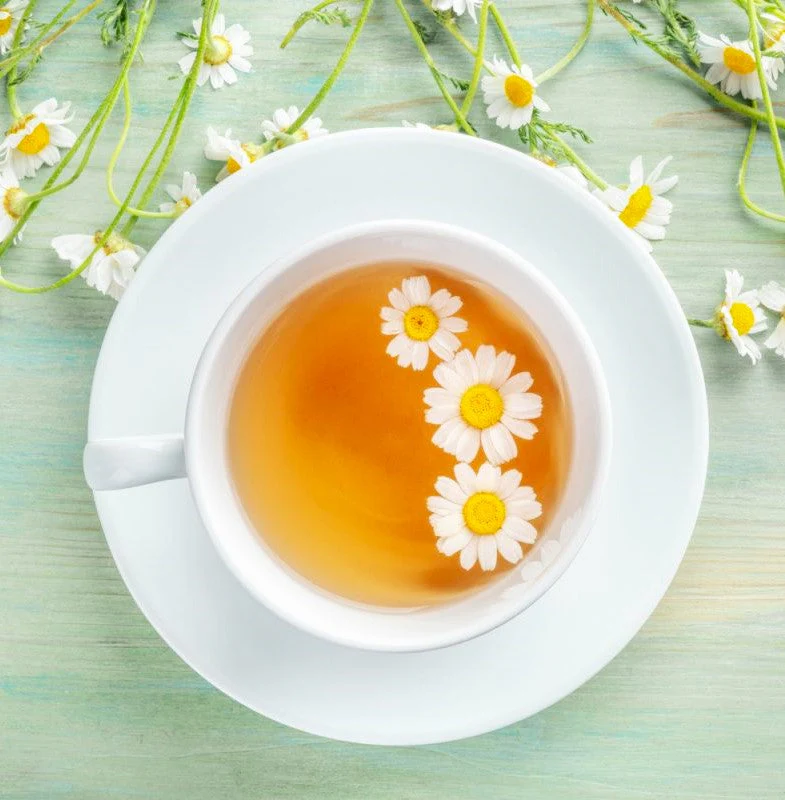 German Chamomile - Image 6