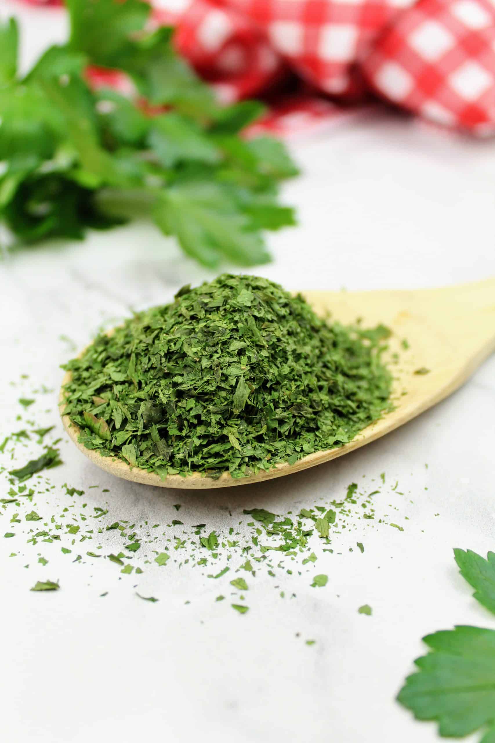 Giant Flat-Leaf Parsley - Image 9