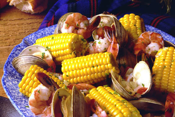 Golden Bantam 12-Row Yellow Sweet Corn - Image 8